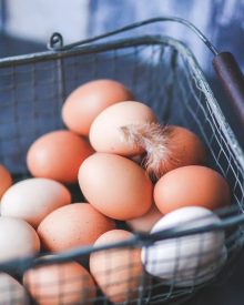 todos os ovos na mesma cesta